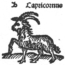 Prosinec (měsíc Vánoční) - Znamení Kozorožce